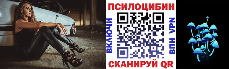 купить закладку  Темрюк  Псилоцибиновые грибы мухоморы 